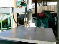 scroll-saw-boice-crane-03.jpg