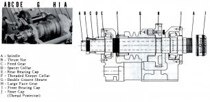 Headstock cutaway.jpg