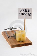 Free cheese.jpg