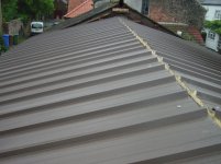 roof at richards 028.jpg